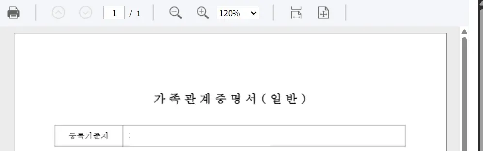 발급된 가족관계증명서 일반 문서가 새 창에 표시된 모습